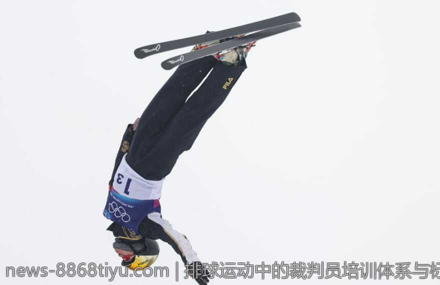 排球运动中的裁判员培训体系与标准提升措施