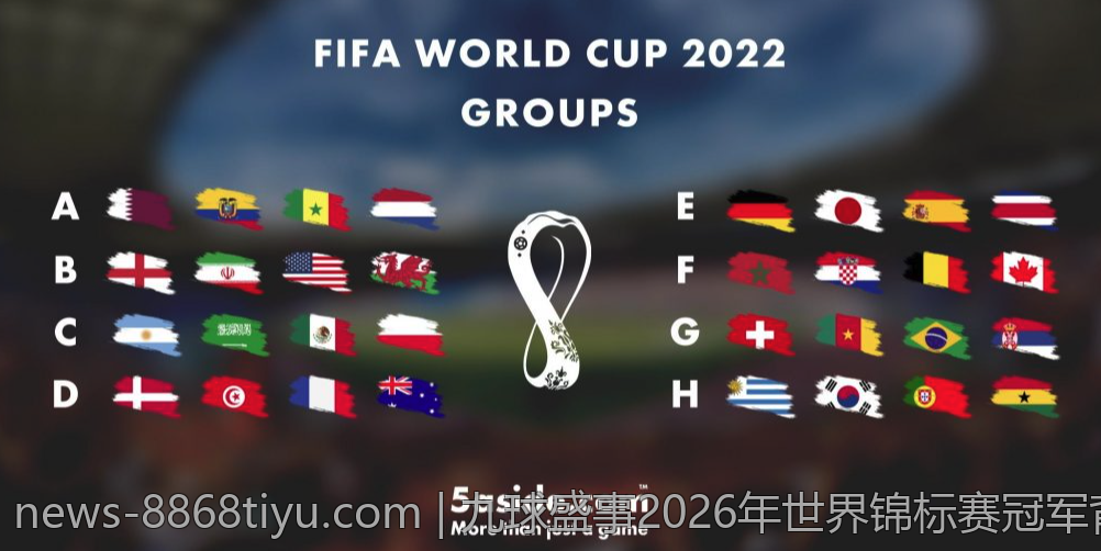 九球盛事2026年世界锦标赛冠军背后的故事